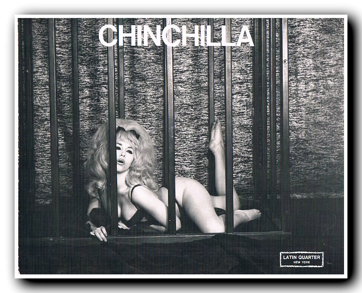 lady chinchilla