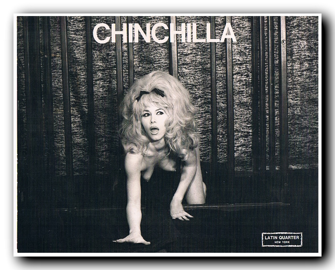 lady chinchilla